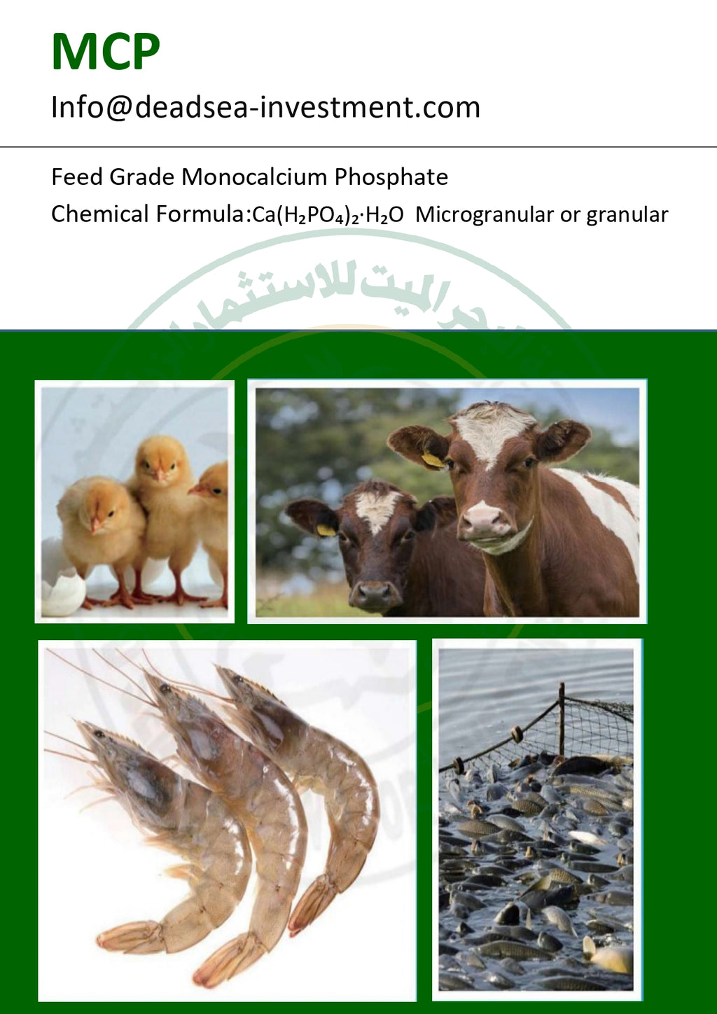 Monocalcium Phosphate