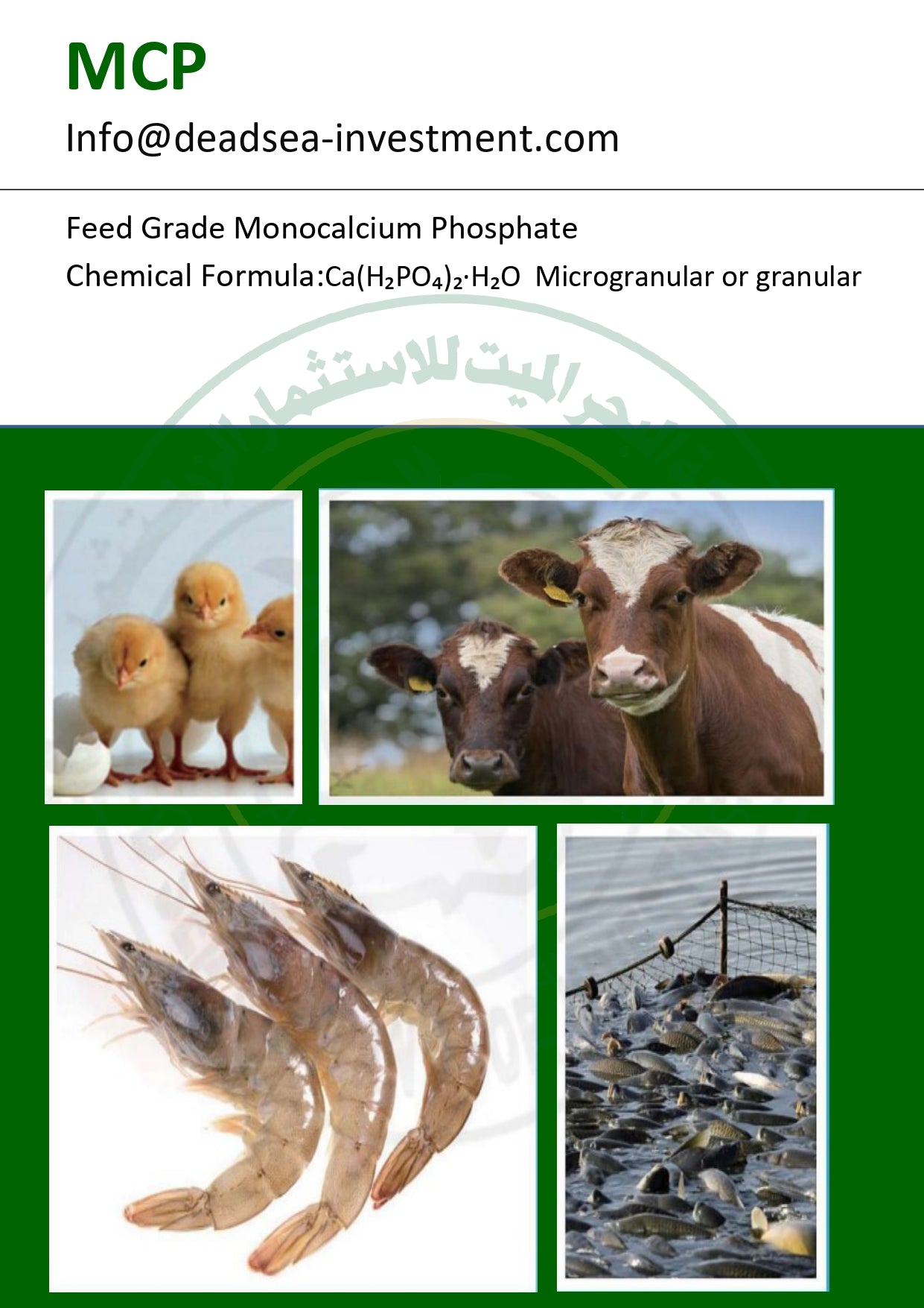 Monocalcium Phosphate