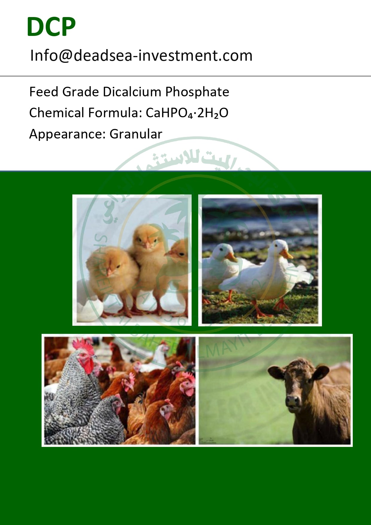 DCP (Dicalcium Phosphate)